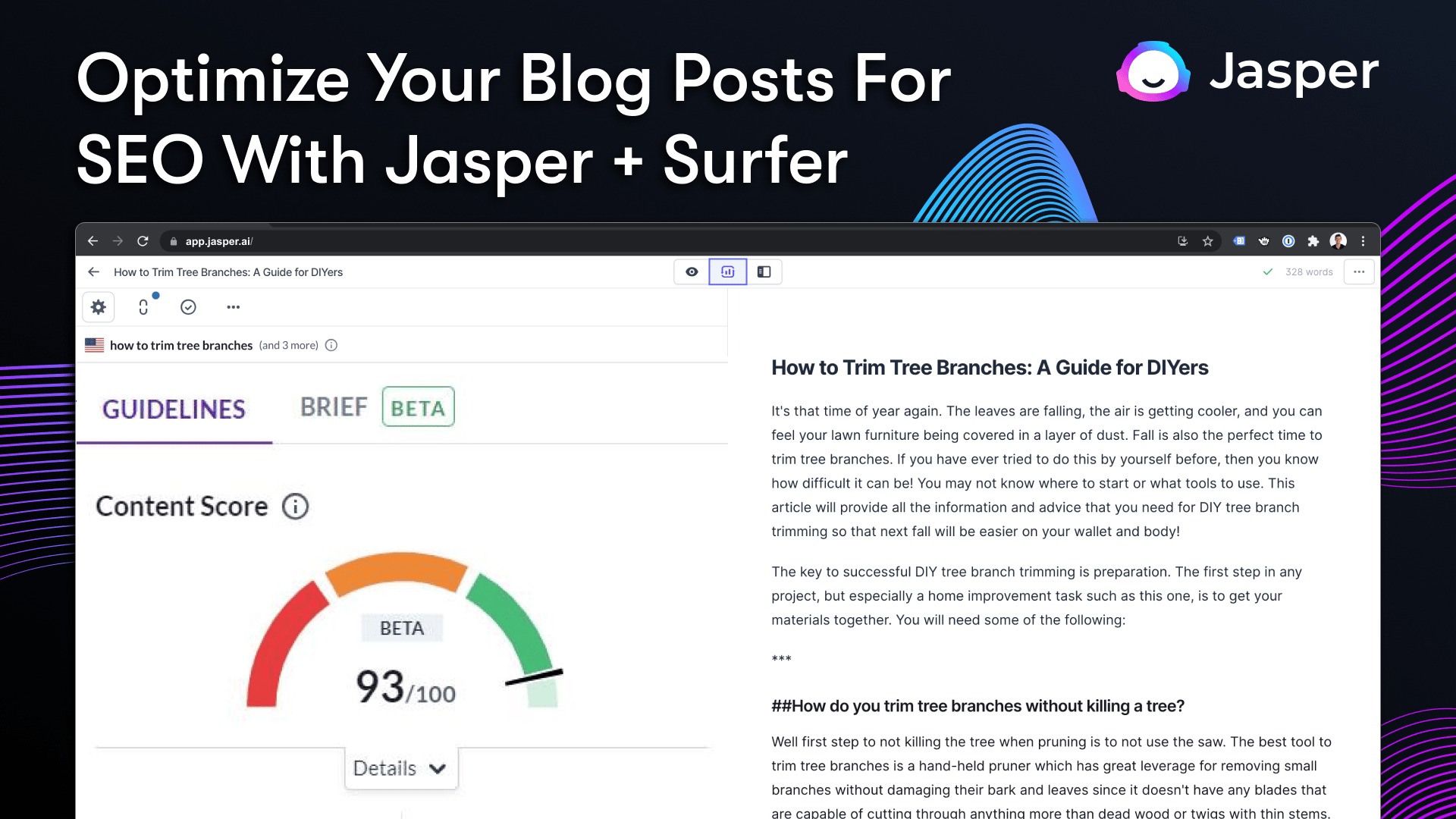 Jasper Surfer