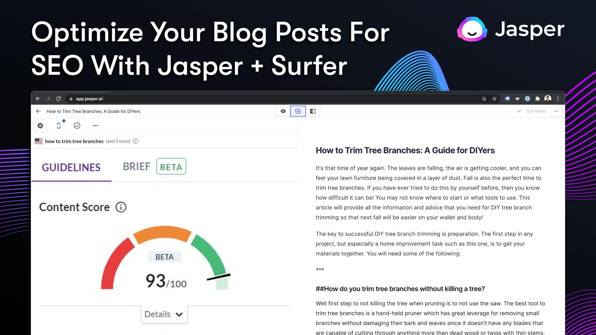 Jasper Surfer