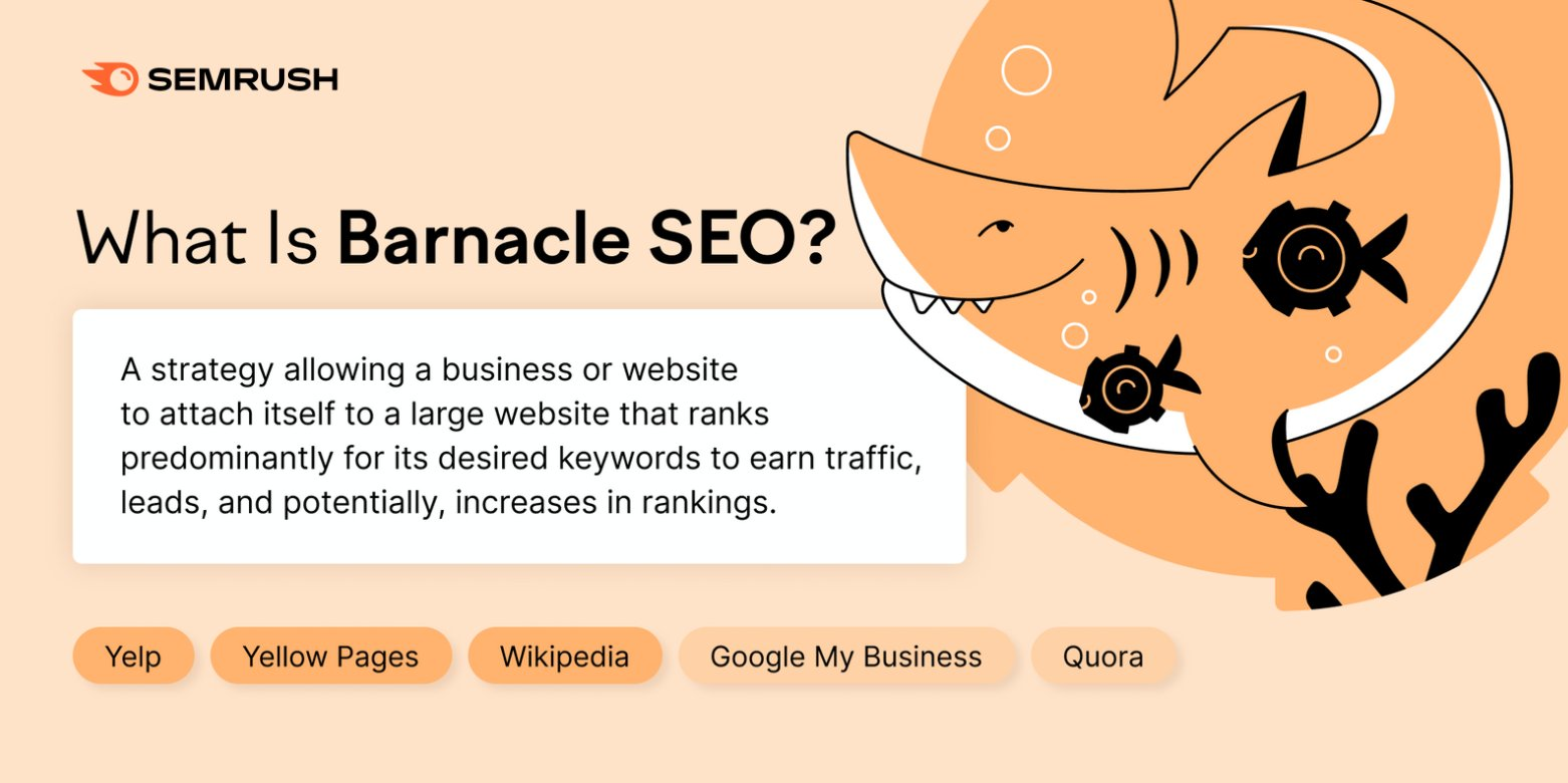 What is Barnacle SEO?