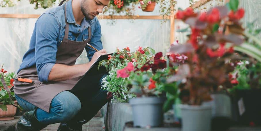 gardening niche site ideas 